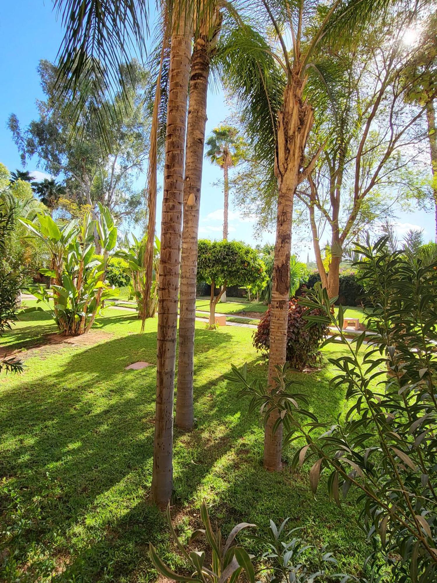 Oxygene Apartment Marrakesch