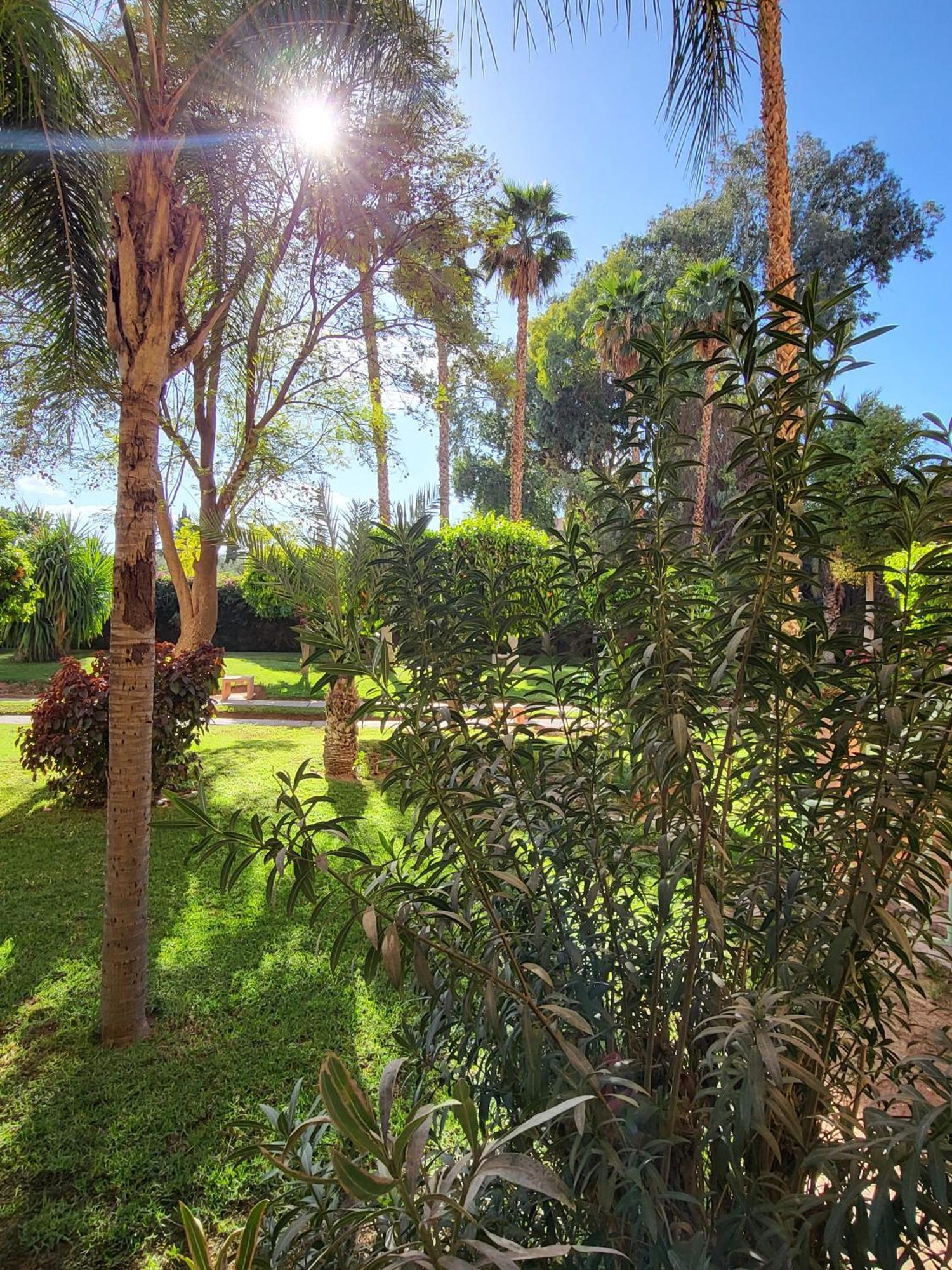 Apartment Oxygene Marrakesch